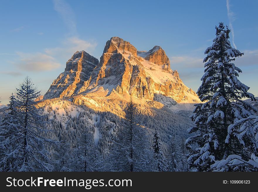 Snow Covered Mountain With Pine Trees