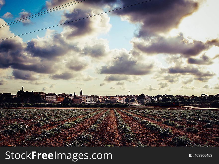 Agriculture, Buildings, Cielo