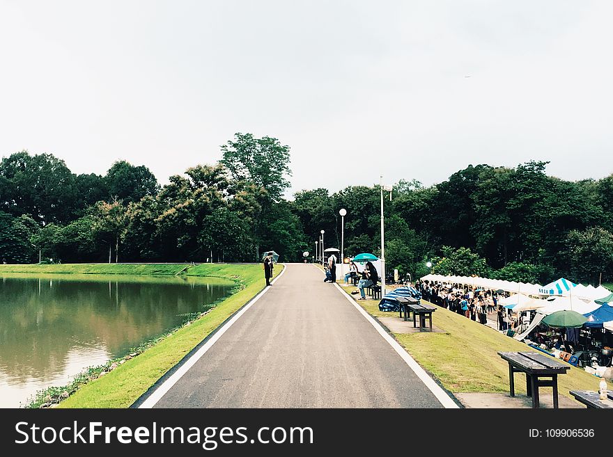 Asphalt, Benches, Celebration