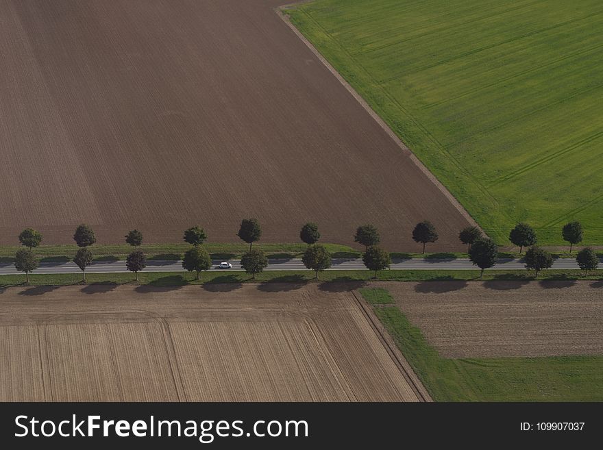 Agriculture, Car, Countryside