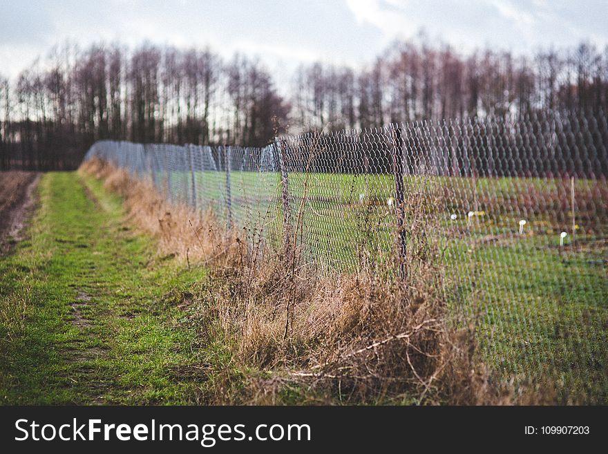 Mesh fence on the nature