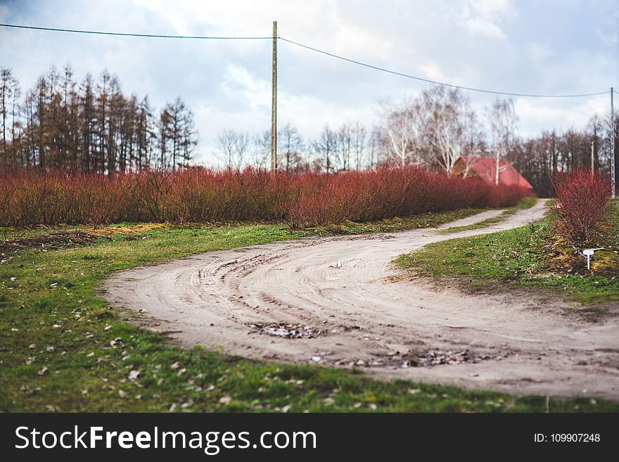 Country Road