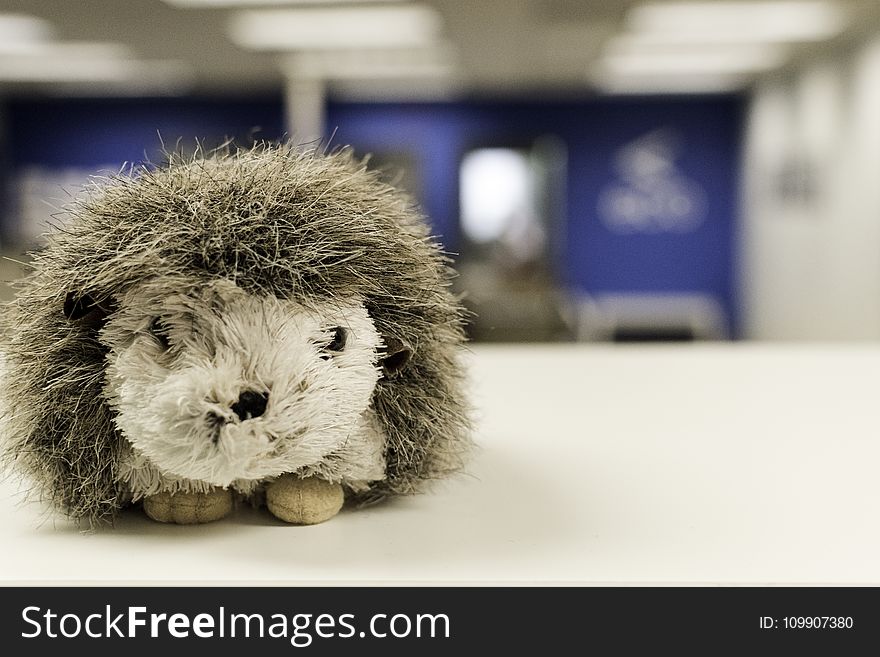 White and Gray Hedgehog Plush Toy on White Table Surface