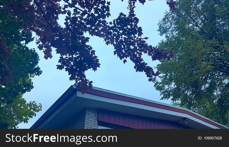 Low-angle Photography of Red and White Concrete House Surrounded of Trees Under White Skies