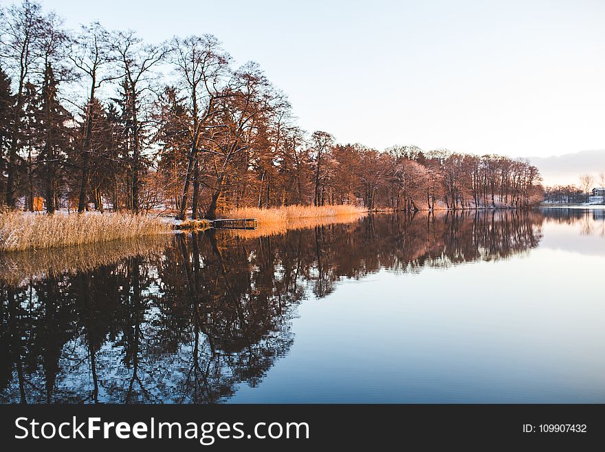 Colorful trees mirroring in the lake
