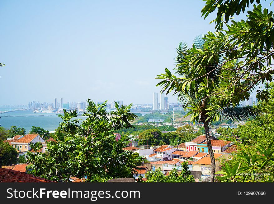 Photography of Houses Surrounded by Trees Near Body of Water