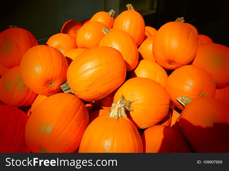 Pumpkin Lot