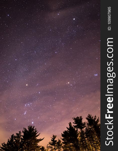 Silhouette Of Trees During Night Time