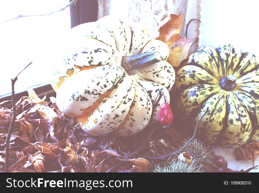 Two Green And Beige Pumpkins