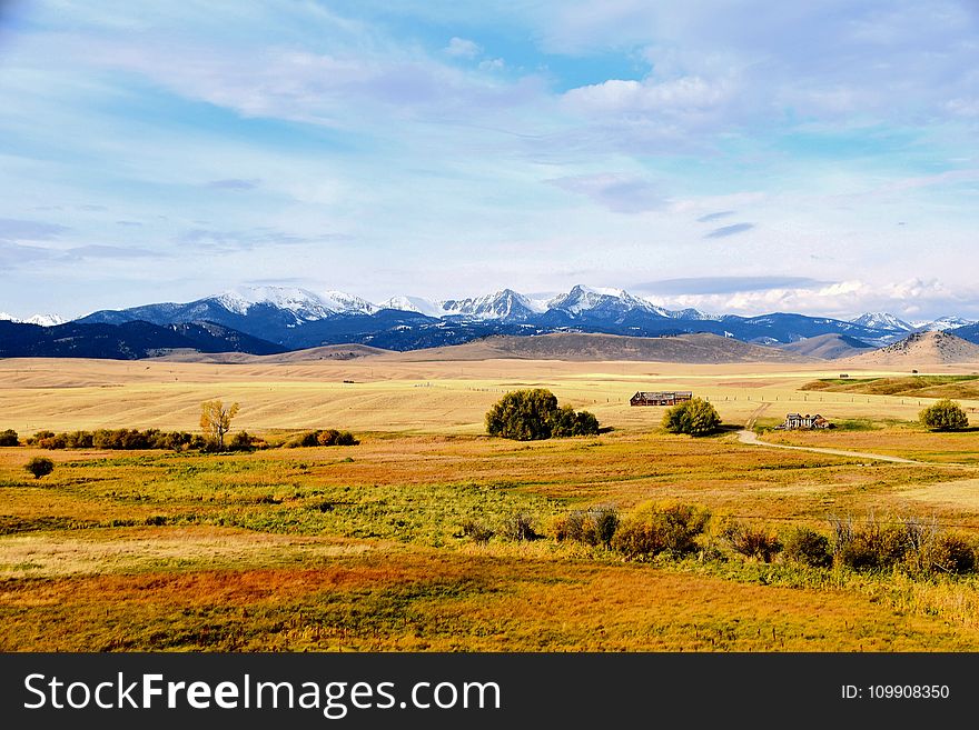 Brown And Green Grass Field Under Clear Blue Skies