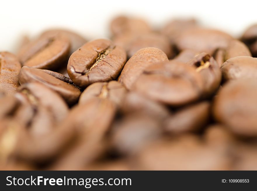 Closeup Photography Of Coffee Beans