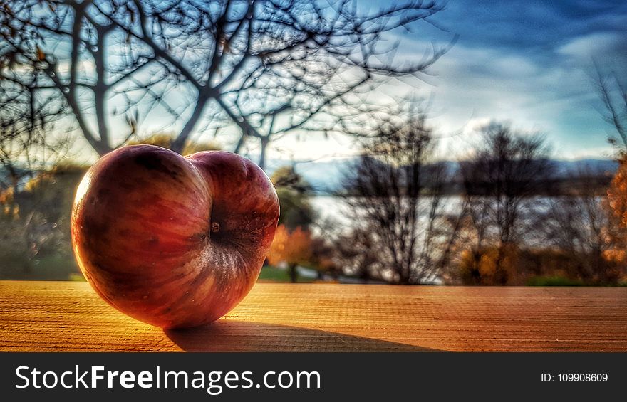 Red Apple Fruit With Bare Trees in Distance