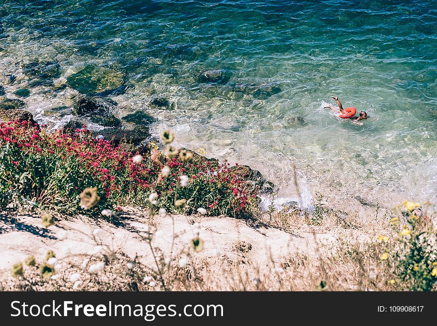 Person Swimming on the Beach Photography