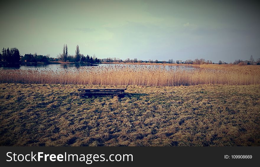 Brown Grass Field By The Lake