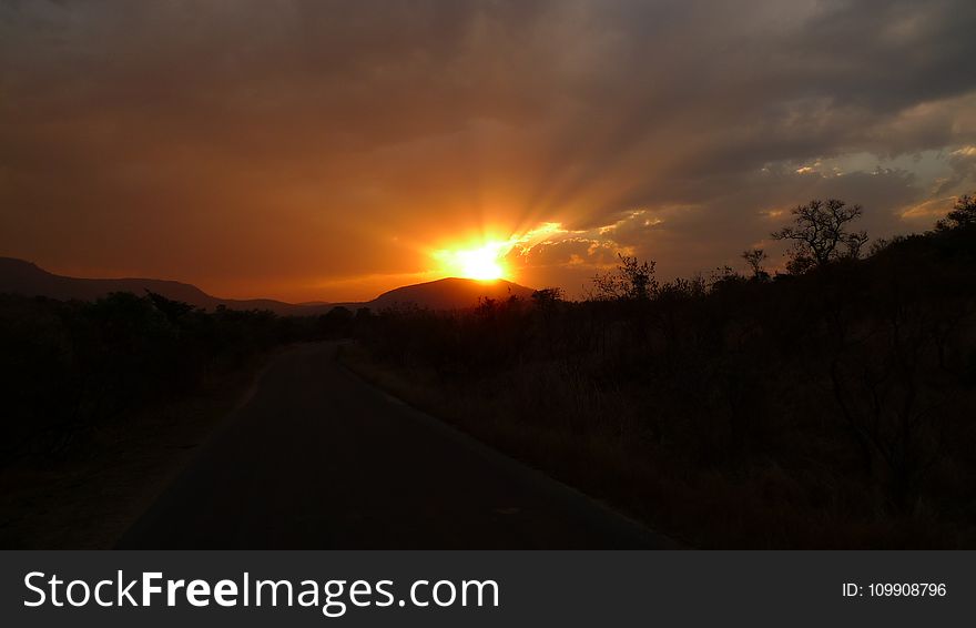 Silhouette Of Trees And Mountian