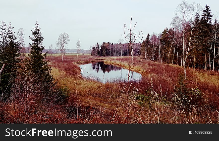 Body Of Water Near Trees Under Cloudy Sky