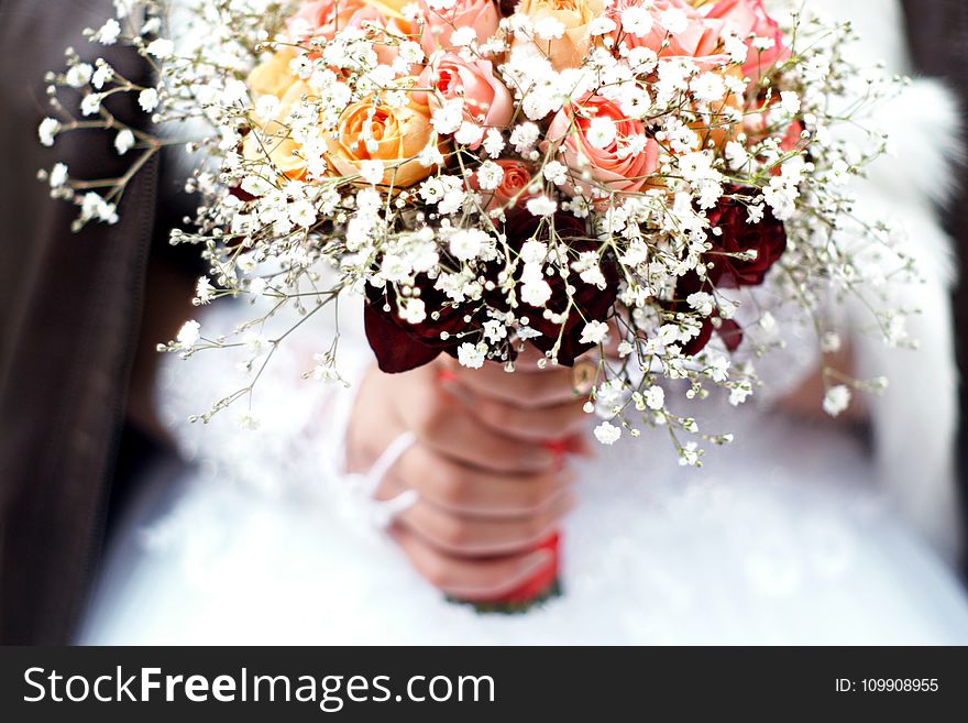 Person Holding Bouquet of Flower