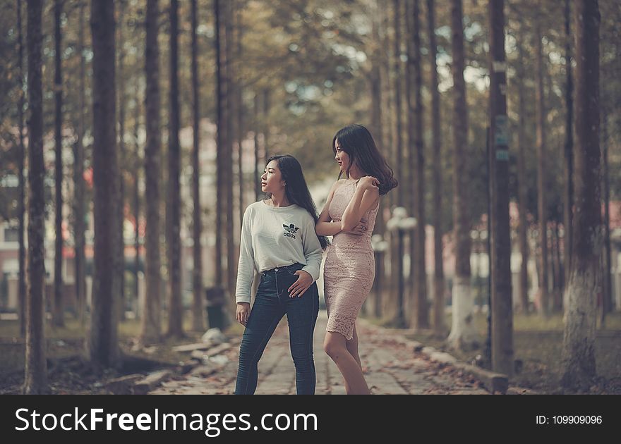 Two Woman Standing on Sidewalk Near Trees