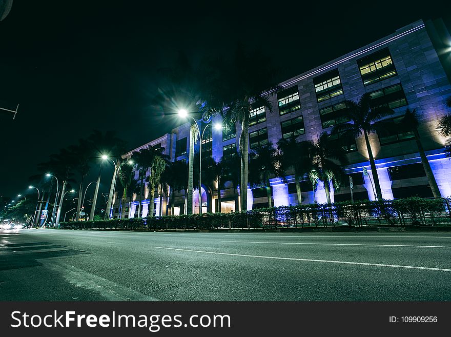 Green Palm Trees on Side Walk Near Gray Building at Nighttime