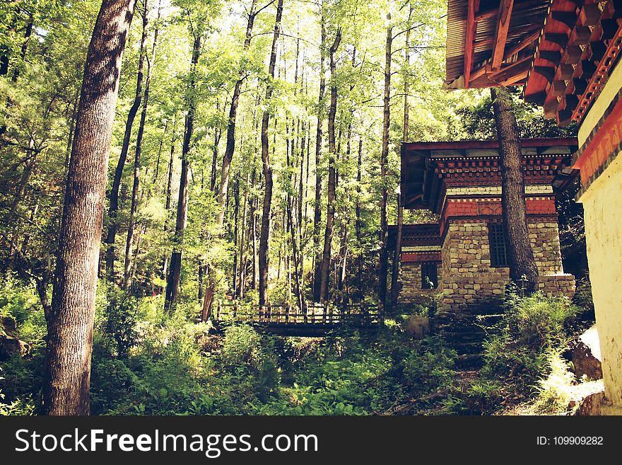 House Near Trees With Bridge Photo