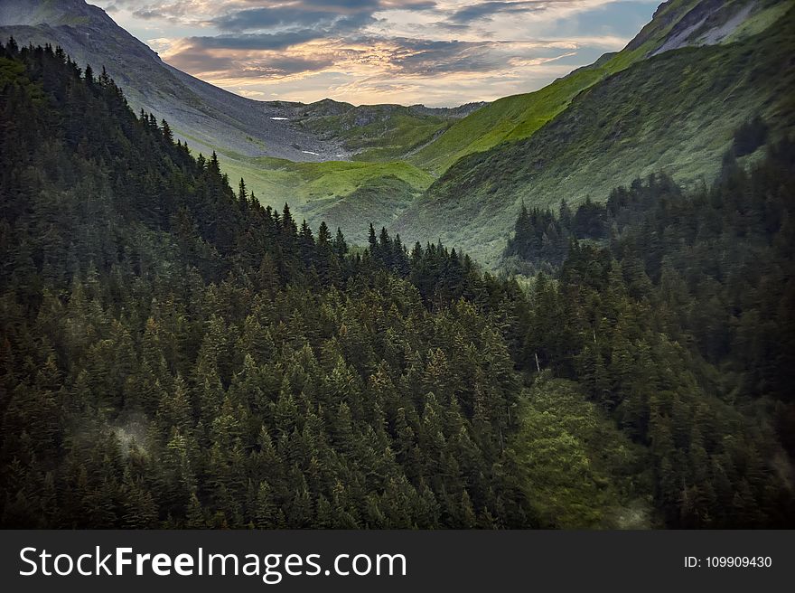 Photography Of Mountain Covered With Green Trees