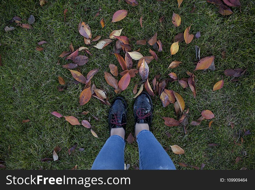 Person In Patent Black Low-top Shoes Standing Above Green Grass