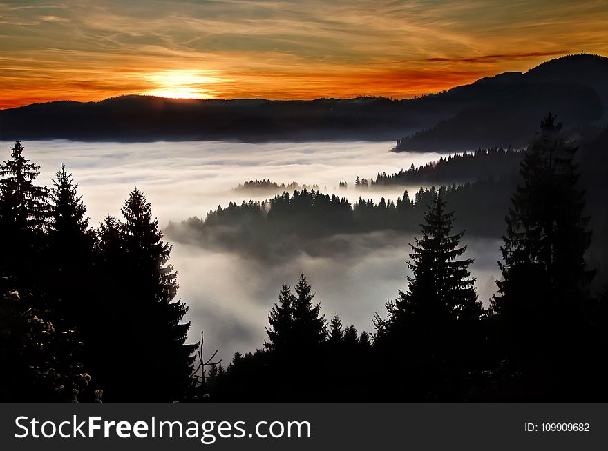 Silhouette Photography of Trees and Mountain