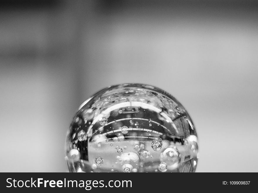 Macro Photography Of Water Dew