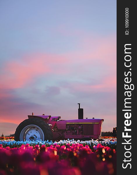 Photo of Ride-on Tractor during Sunset
