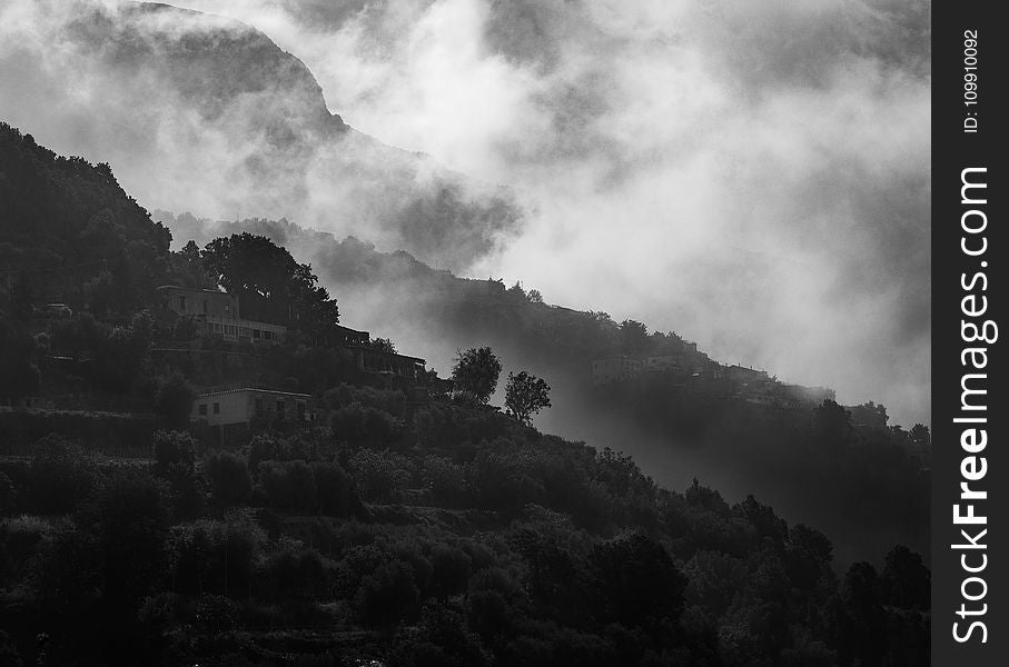 Landscape Grayscale Photography of Concrete Houses Surrounded With Trees