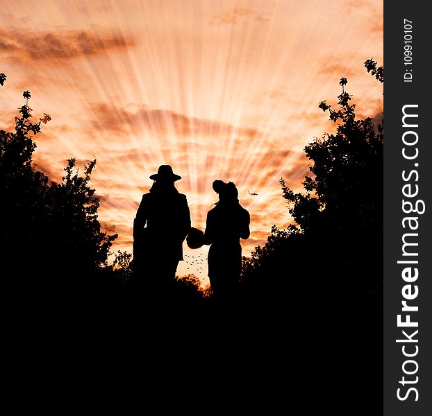 Silhouette Photo of Man and Woman Wearing Hat Standing Between Trees during Golden Hour