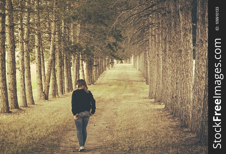 Woman Wearing Black Longsleeve and Gray Jeans Walking on Brown Forest