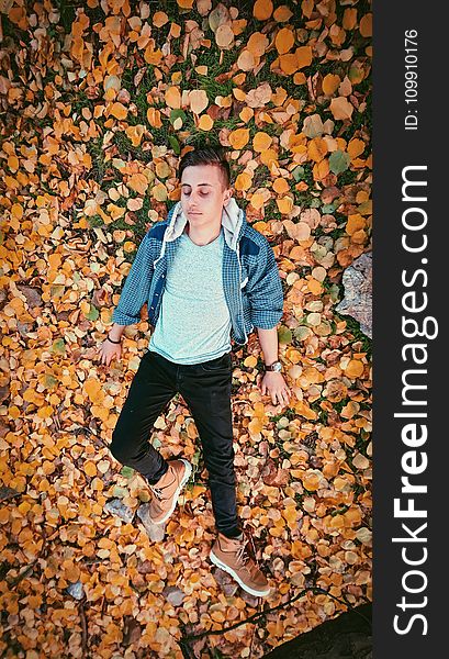 Closeup Photo of Man Lying on Brown Leaves