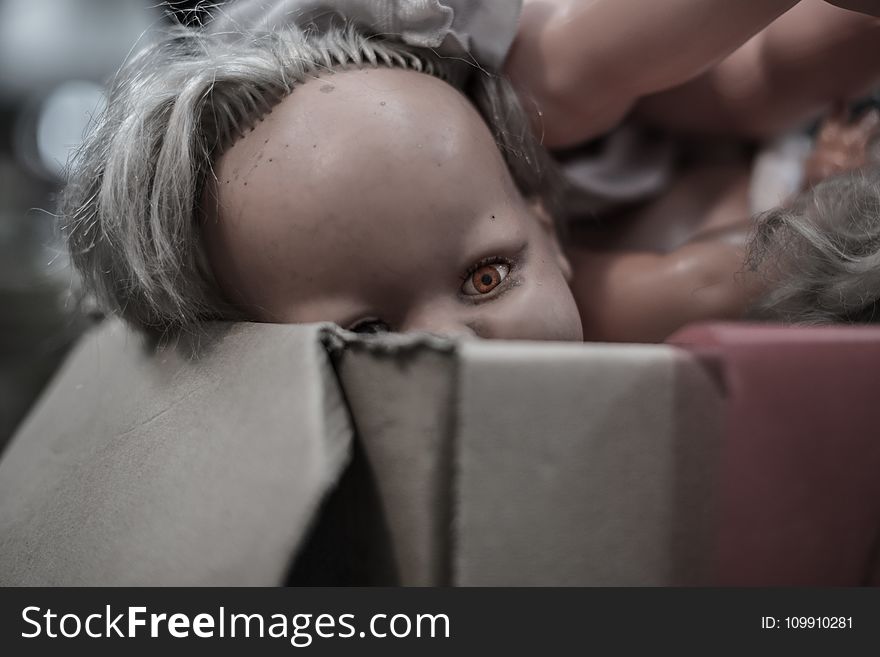 Porcelain Doll in Box