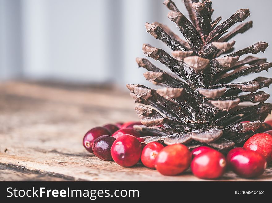 Pine cone Surrounded by Red Coffee Beans