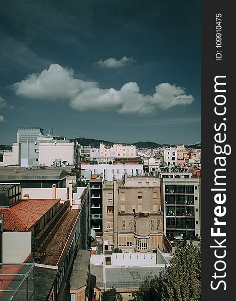 Brown, White, And Black Concrete High Rise Buildings