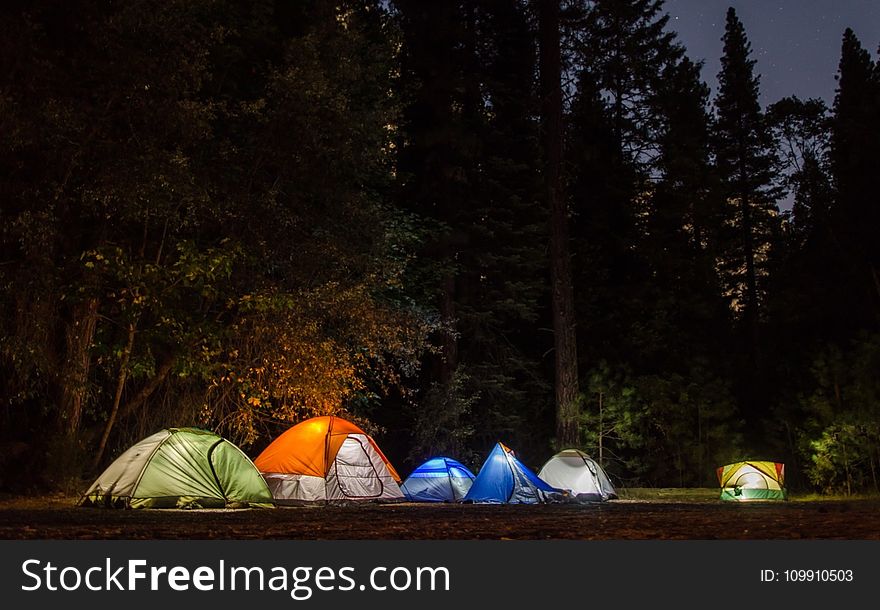 Six Camping Tents in Forest