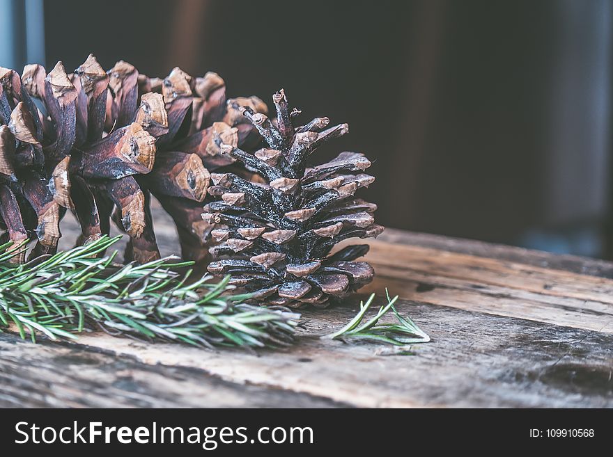 Two Brown Pine Cones on Brown Wooden Surface