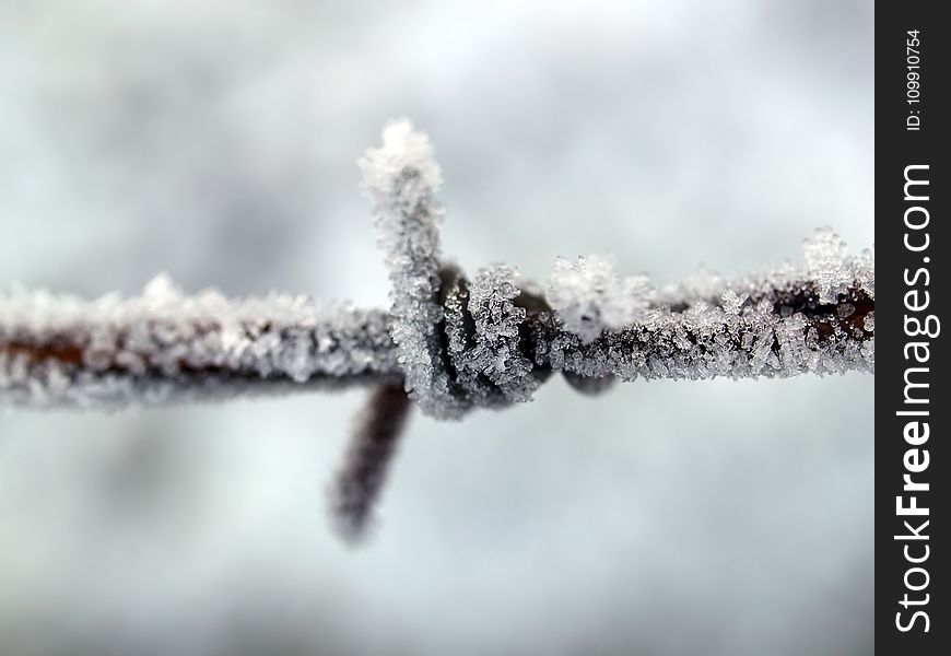 Closeup Photography Of Ice Covered Metal Wire