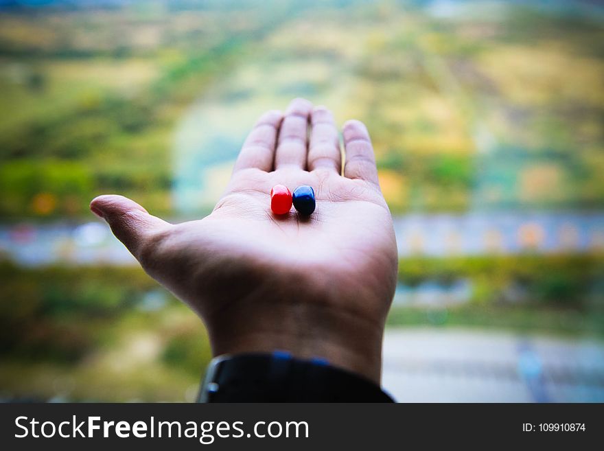 Red And Blue Jelly Beans On Person&#x27;s Left Palm