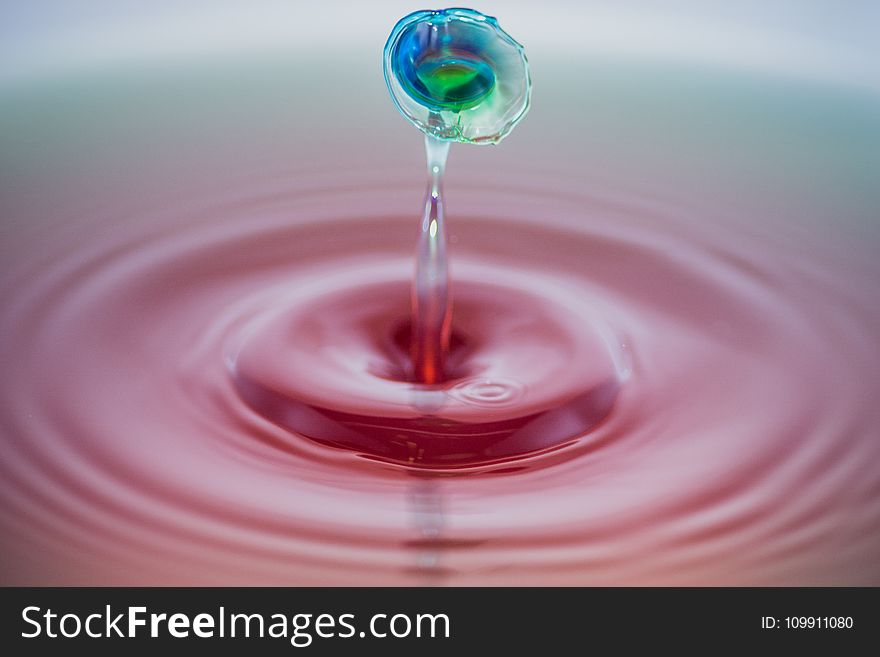 Shallow Focus Photography of Water Droplet