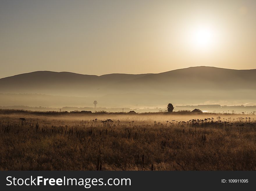 Brown Field during Sunset