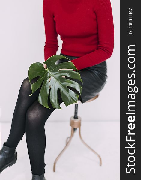 Woman in Red Sweater and Black Pants Holding Green Leaf