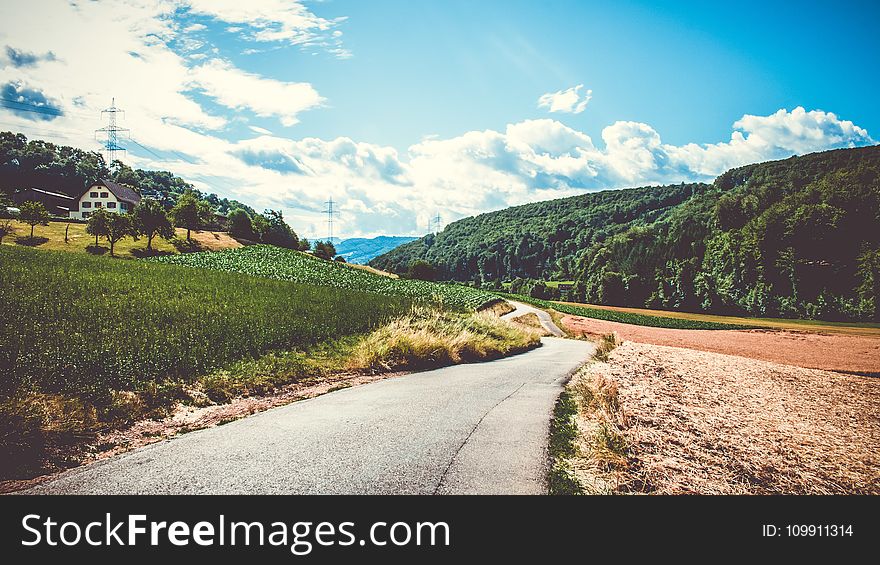 Green Field and Road in Landscape Photography