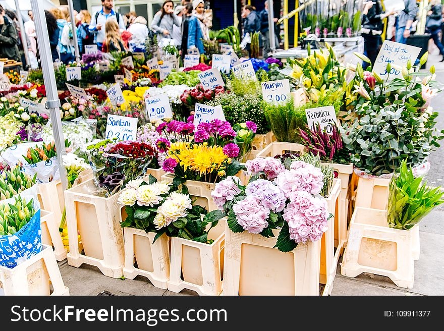 Assorted Flowers With Brown Wooden Rack