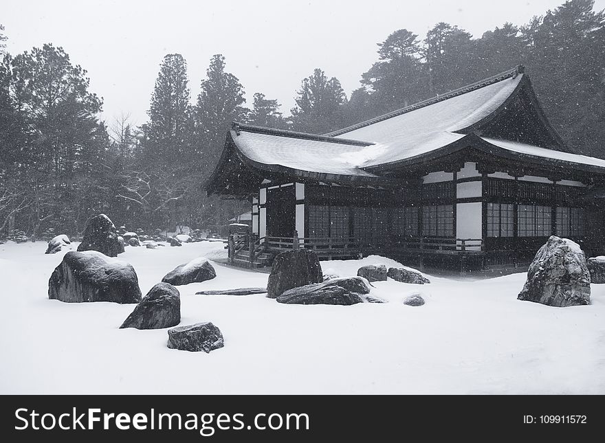 White AAnd Brown House Covered With Snow