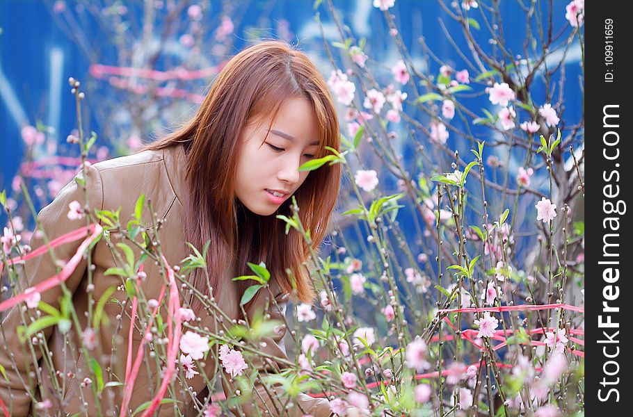 Woman Smelling The Pink Petaled Flowers