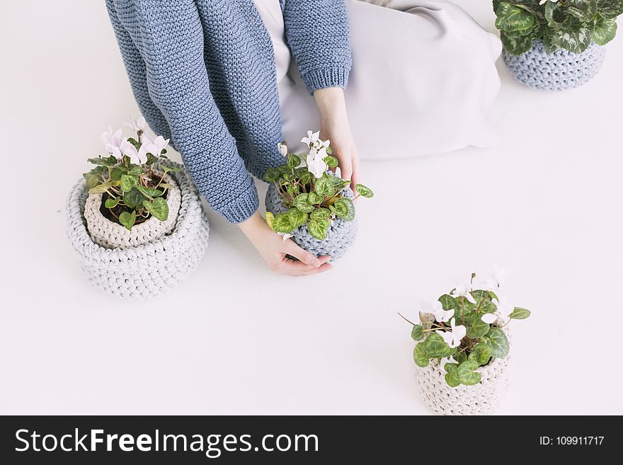 Person in Blue Sweater Holding Green Potted Plant