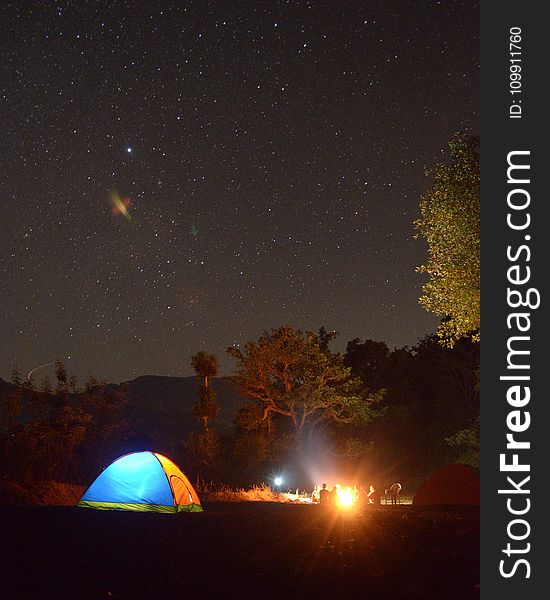 Photo Of Blue And Yellow Lighted Dome Tent Surrounded By Plants During Night Time