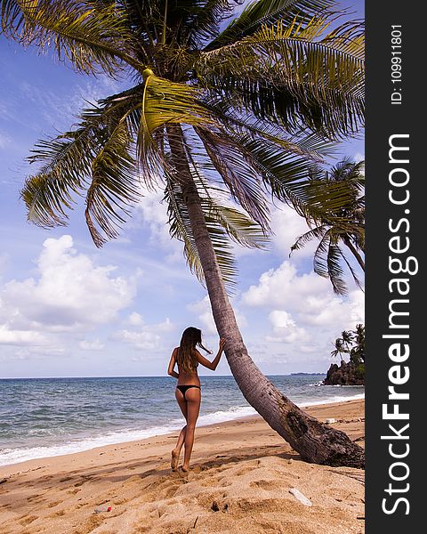 Woman In Bikini Standing Near Tree On Beach Under Cloudy Skies